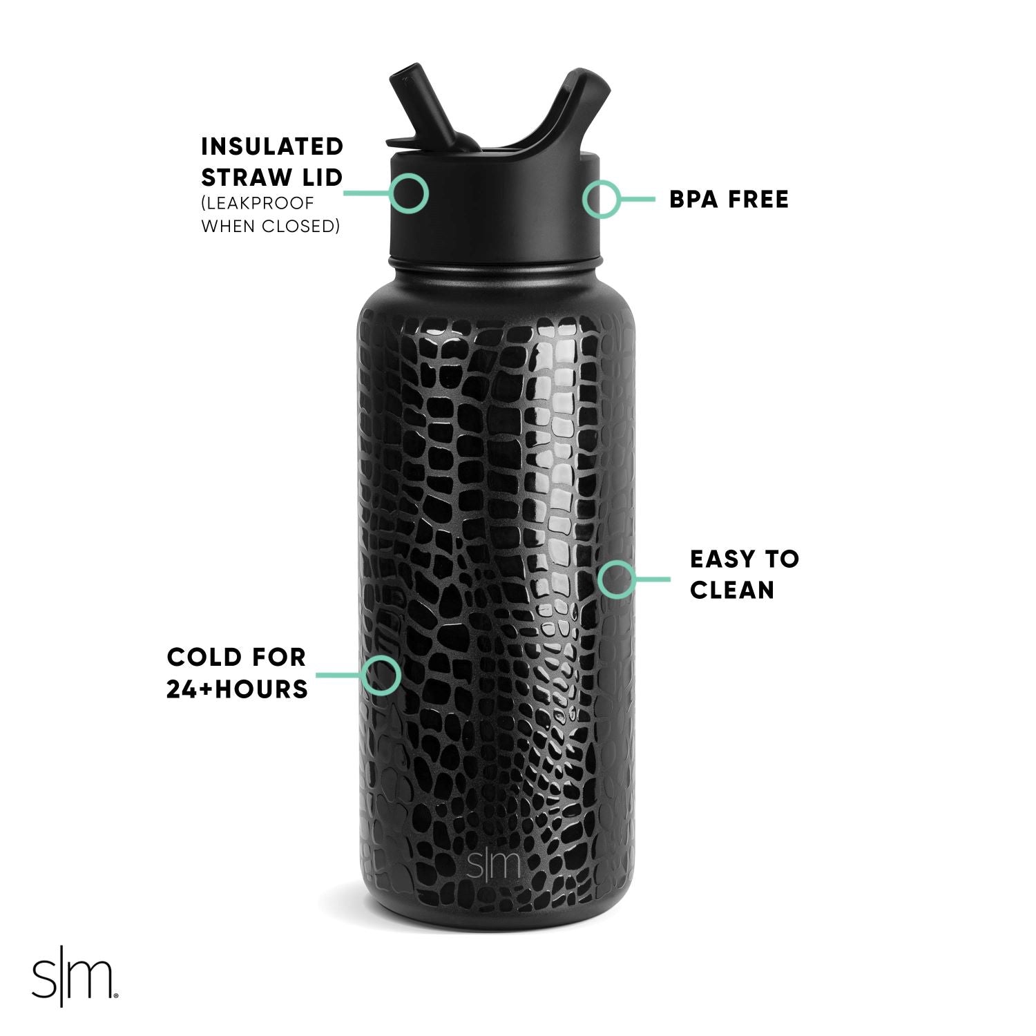 Summit Water Bottle with Straw Lid